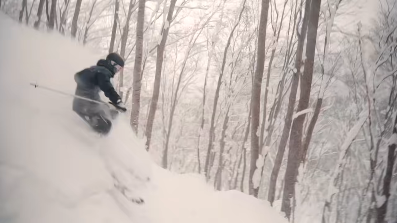Skier through snow-covered trees